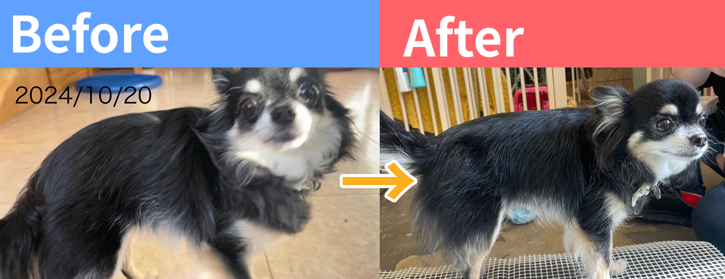 定期的な筋トレレッスンで猫背が！